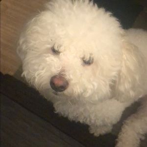 Meet your Posher, Veronica